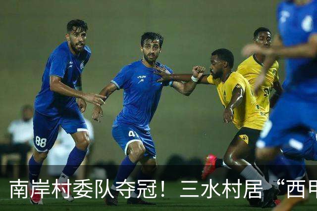 南岸村委队夺冠！三水村居“西甲”燃情落幕