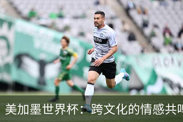 美加墨世界杯：跨文化的情感共鸣